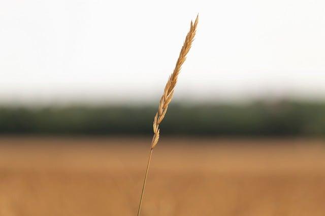 Ekologia Problémy: Najväčšie Ekologické Problémy Dneška