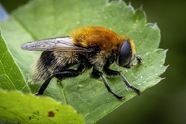 Role krajinných ekológov v tvorbe udržateľných environmentálnych politík