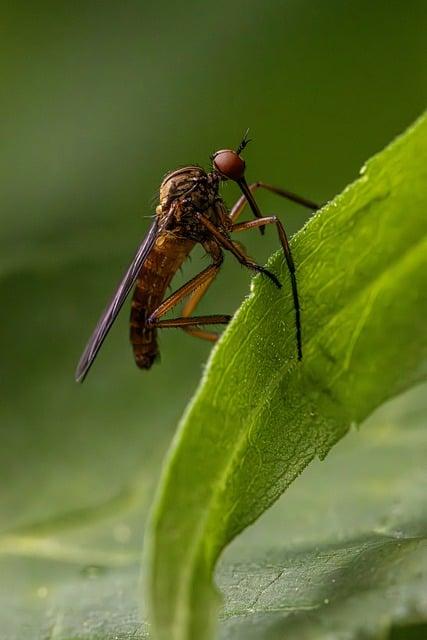 Vyberte si biologicky odbúrateľné pamiatky