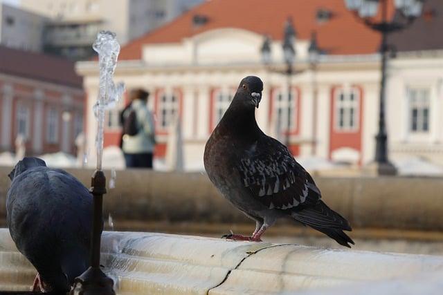 Úloha Odboru Životného Prostredia v Trnave: Ochrana životného prostredia